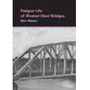 Puentes y pasarelas - Fatigue life of riveted steel bridges