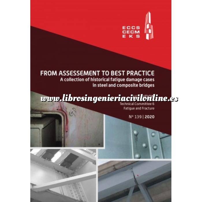 Imagen Puentes y pasarelas From Assessment to Best Practice - A collection of fatigue damage cases in steel and composite bridges