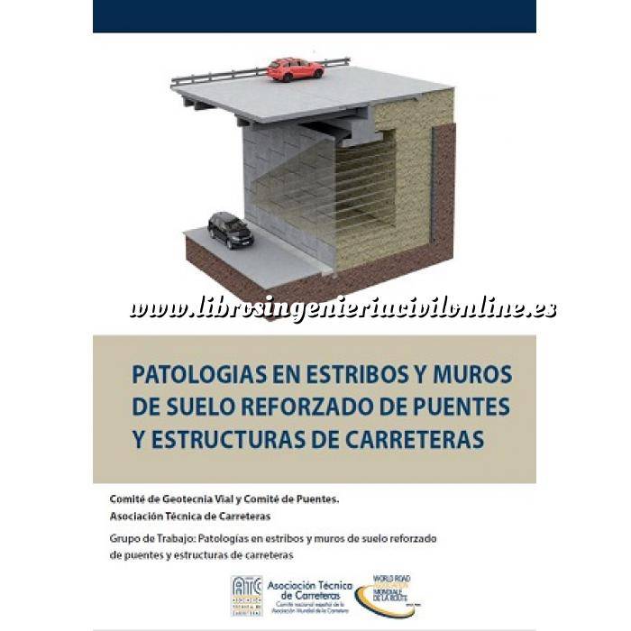 Imagen Puentes y pasarelas Patologias en estribos y muros de suelo reforzado de puentes y estructuras de carreteas