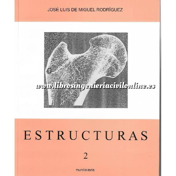 Imagen Teoría de estructuras Estructuras 2