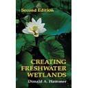 Ingeniería de ríos - Creating freshwater wetland