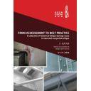 Puentes y pasarelas - From Assessment to Best Practice - A collection of fatigue damage cases in steel and composite bridges