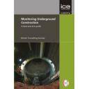 Túneles y obras subterráneas - Monitoring underground construction. A best practice guide