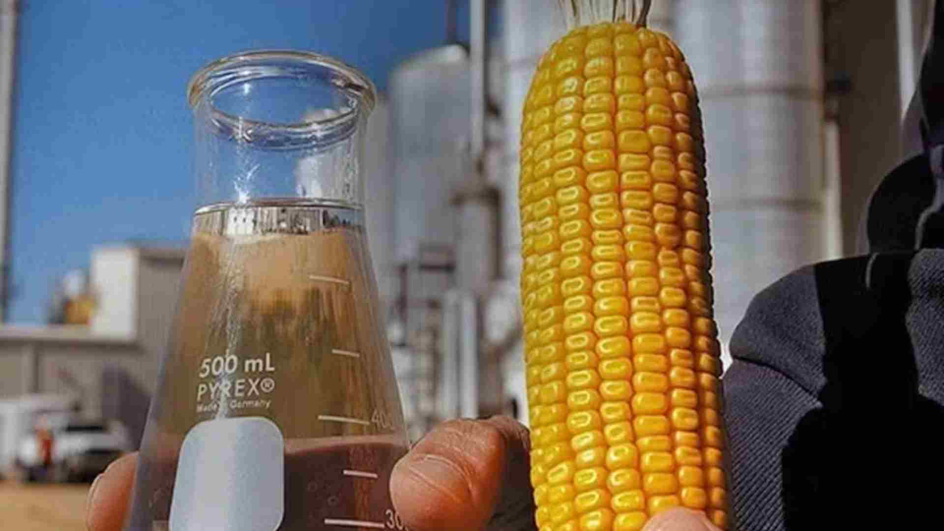 Mato Grosso do Sul não será atingido por novo tarifaço dos Estados Unidos