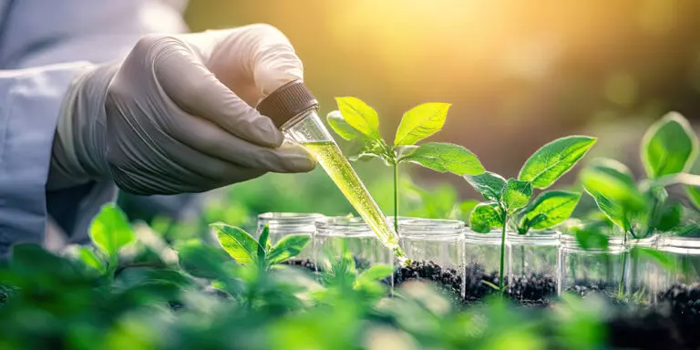 Soberania agrícola não é autossuficiência: o que o debate sobre fertilizantes deixa de fora