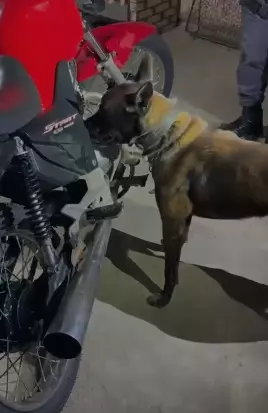 Ação do Baep flagra homem com drogas em Garça