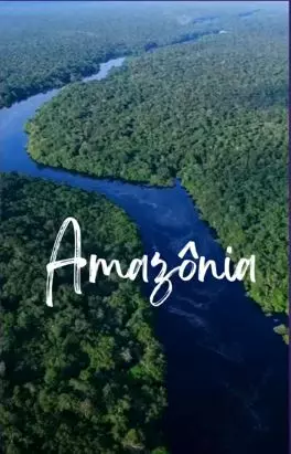 Vídeo 17