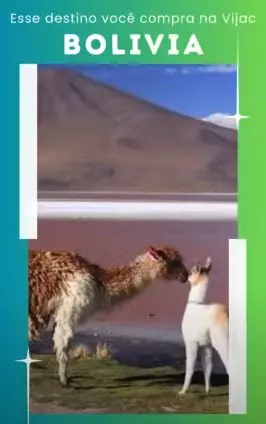 Vídeo 15