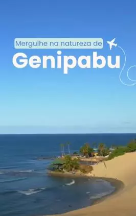 Vídeo 4