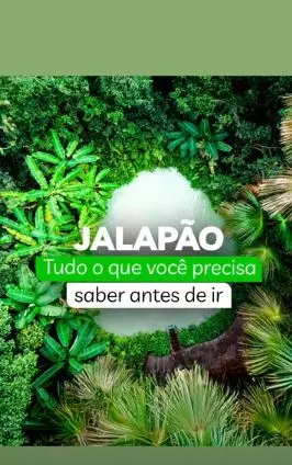 Vídeo 2