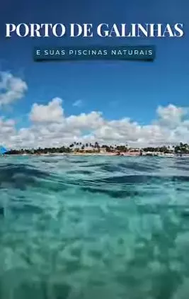 Vídeo 22