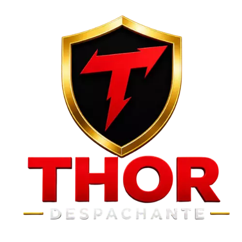 Thor Despachante