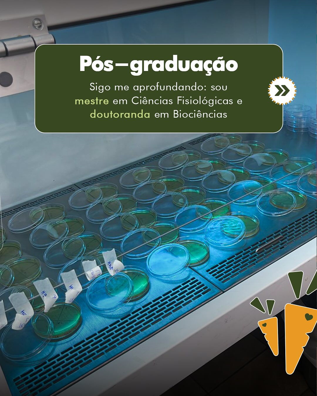 Sobre