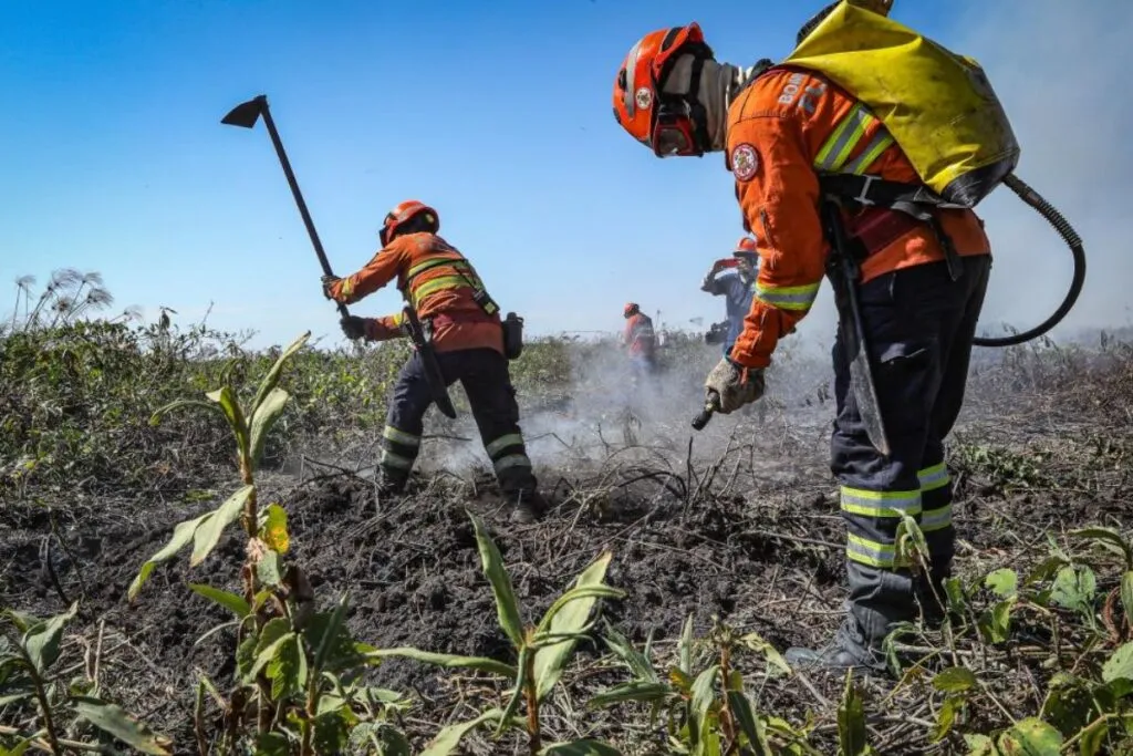 Corpo de Bombeiros convoca candidatos a brigadistas para o TAF com vagas no Vale do Araguaia