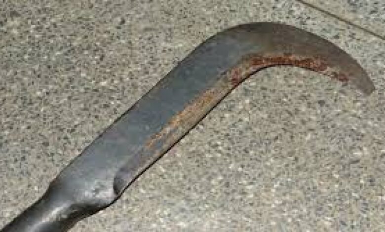 Trabalhador tem cabeça golpeada por foice durante briga em fazenda em MT
