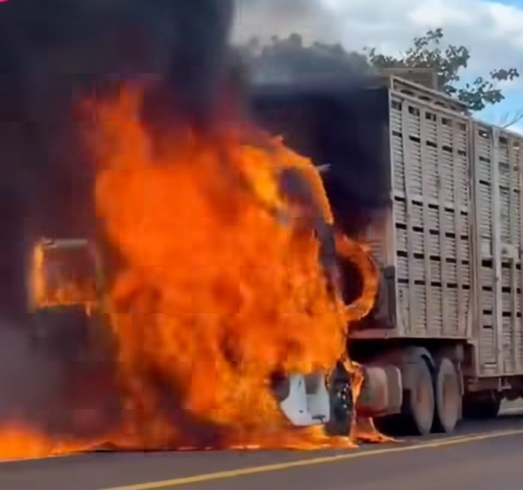 Caminhão boiadeiro pega fogo na BR 158 próximo a Nova Xavantina; bombeiros atenderam a ocorrência