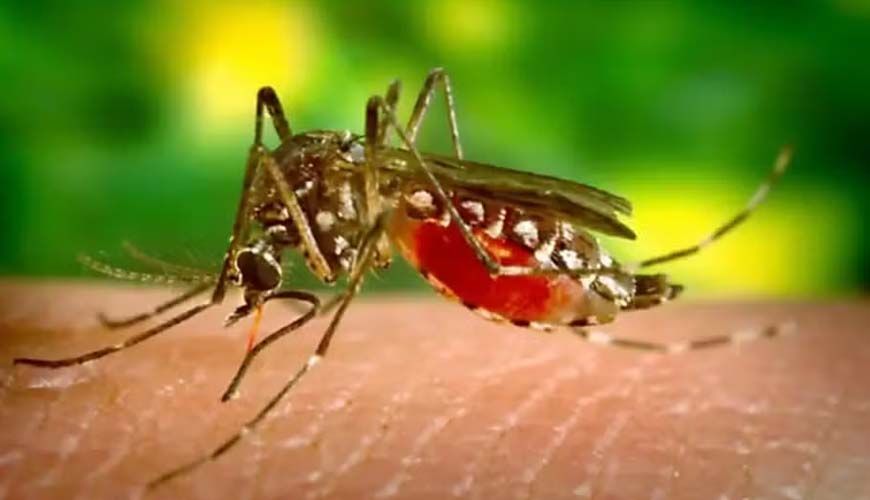Cuiabá registra mais de 500 casos confirmados de dengue e uma morte pela doença em 2026