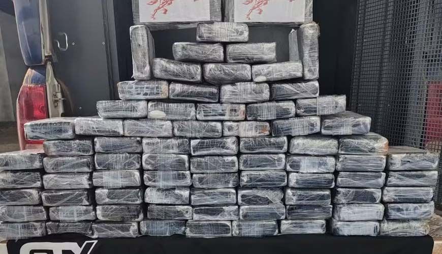 Avião é achado em área de mata com duas pessoas mortas e carga de cocaína em MT