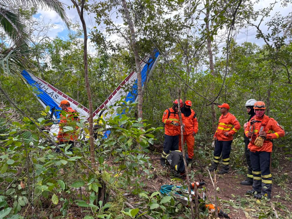 Bombeiros localizam destroços de ultraleve e corpo de vítima após acidente aéreo