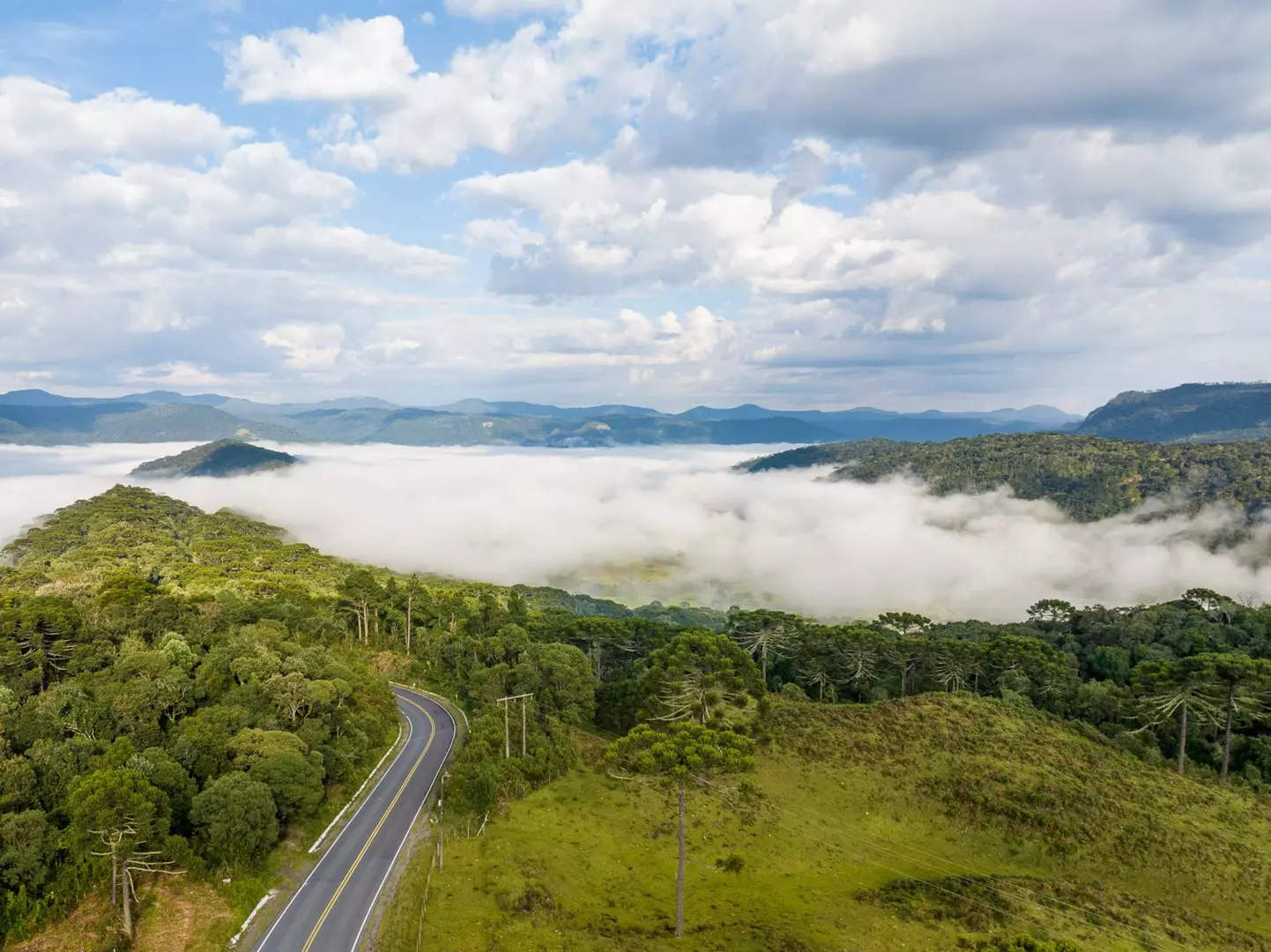 Massa de ar frio derruba temperaturas em SC e mantém tempo firme até quinta-feira