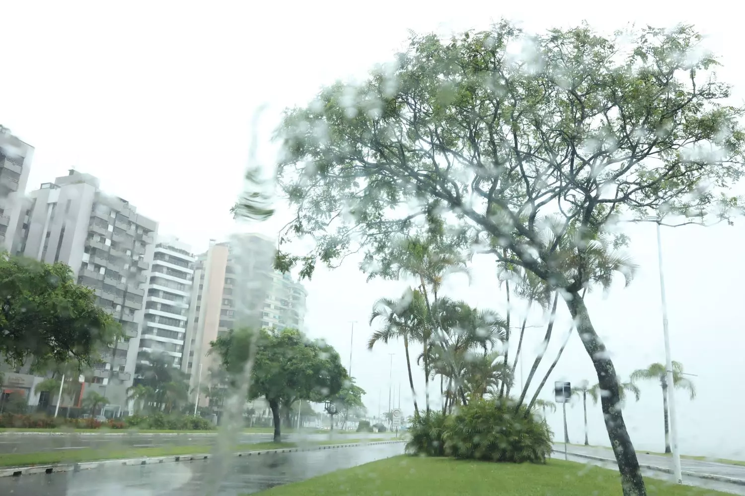 Chuva retorna a SC neste fim de semana e frio mais intenso perde força
