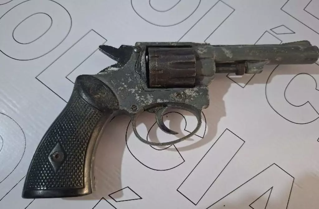 Discussão entre pai e filha mobiliza polícia e resulta em apreensão de arma