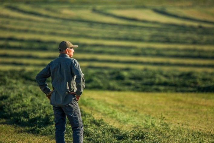 Seguro rural ESG traz desafios e oportunidades para o agro brasileiro