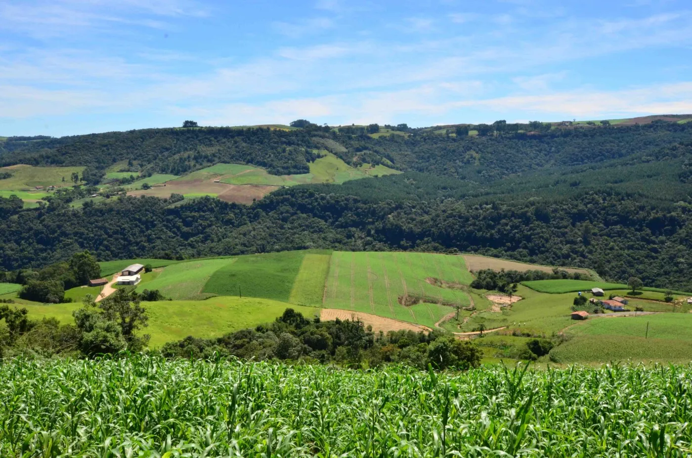 Regras ambientais e cruzamento de dados travam acesso ao crédito rural em 2026