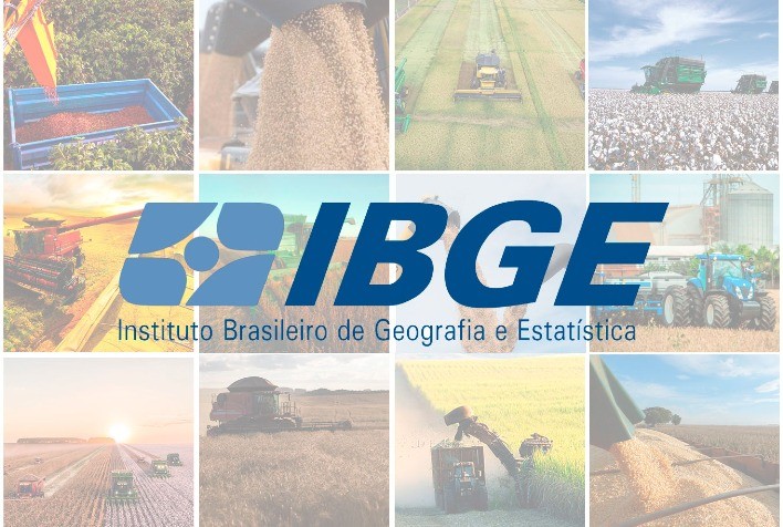 Safra brasileira de grãos deve atingir recorde de 348,7 milhões de toneladas em 2026, aponta IBGE