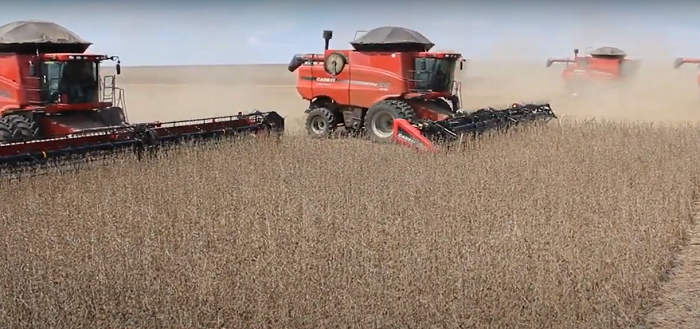 Juros altos travam investimentos no agro e setor passa a priorizar eficiência e retorno rápido