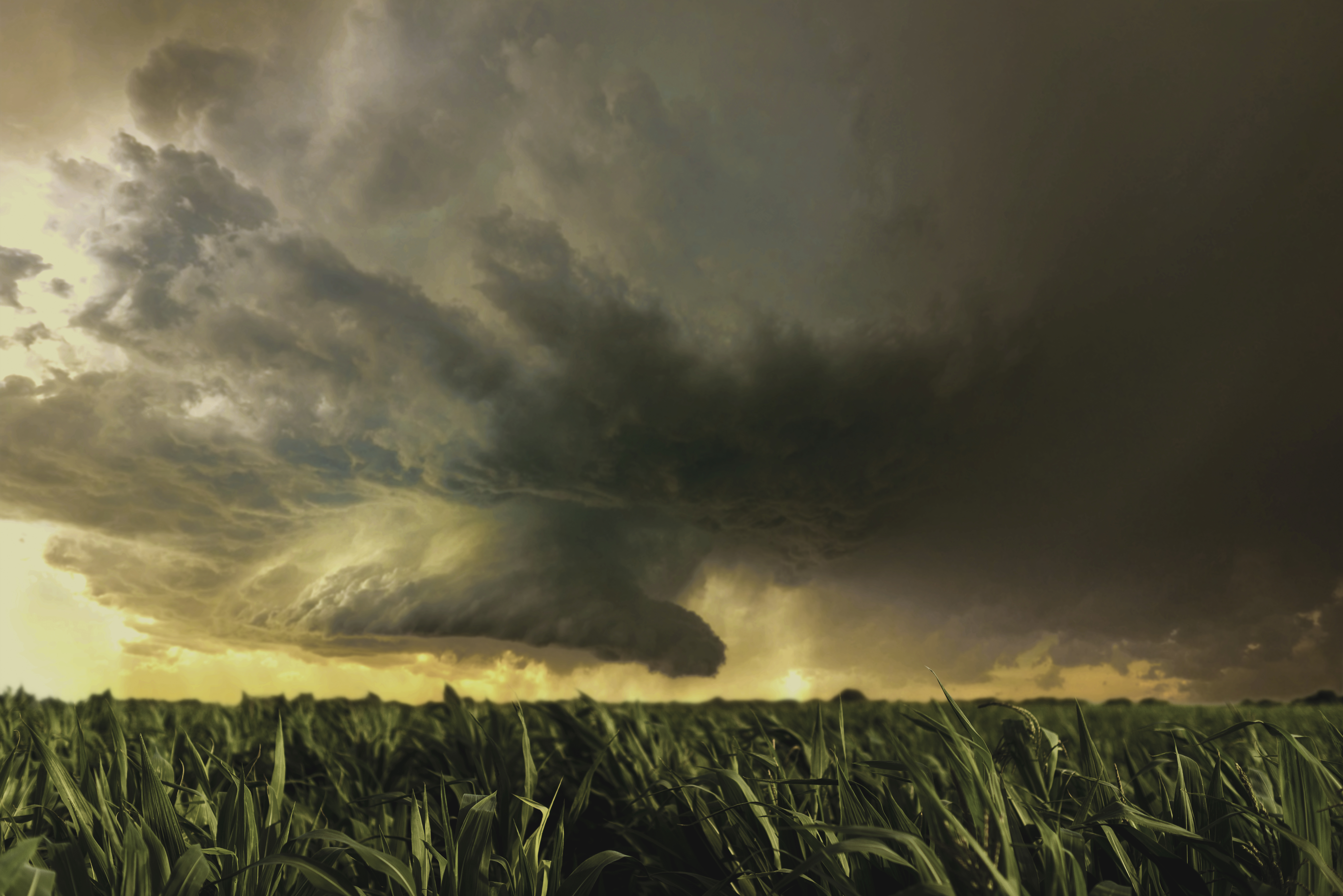 Resseguro se torna peça estratégica para proteger o agro diante dos riscos climáticos e da pressão sobre o crédito rural