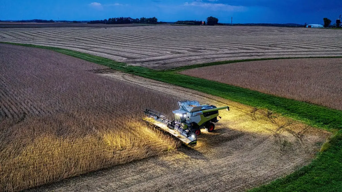 Brasil lidera produção mundial de soja e responde sozinho por 40% de toda a safra global