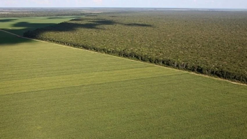 Sema prorroga prazo para projetos de compensação de Reserva Legal em MT