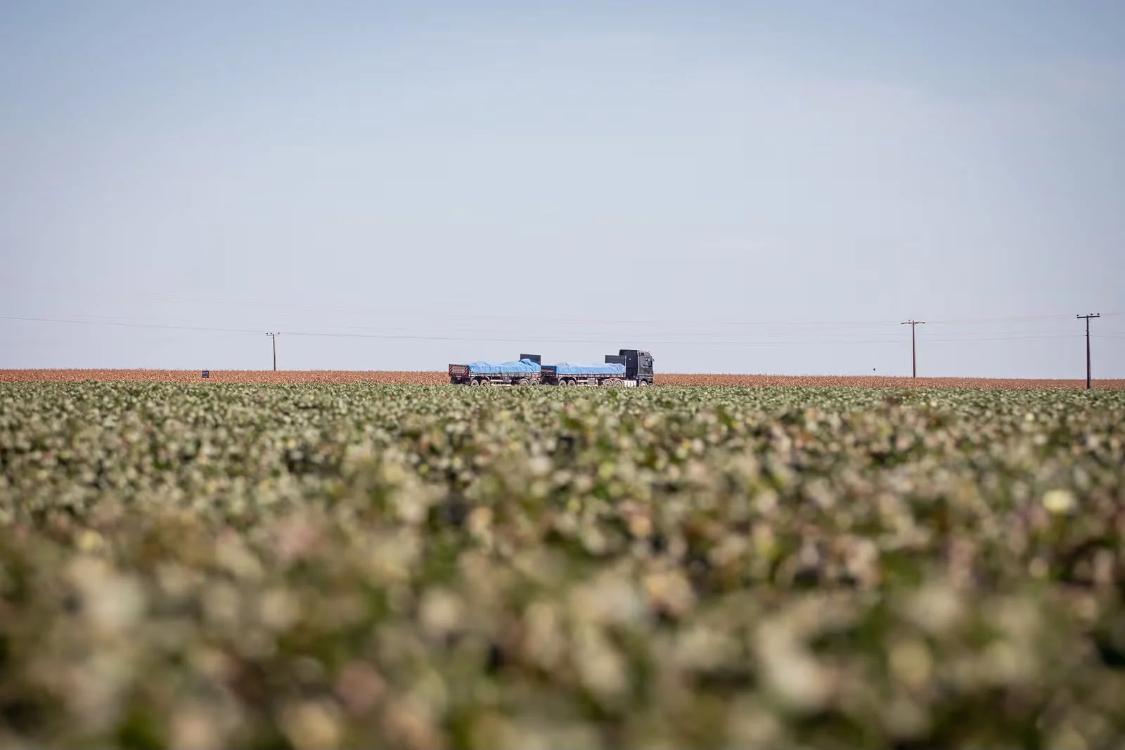 Queda das commodities e alta das dívidas colocam produtores rurais à prova no Centro-Oeste
