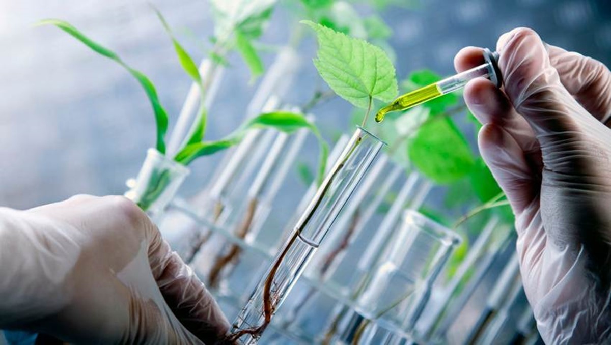 Qual o potencial bloqueado pela morosidade na regulamentação da Lei dos Bioinsumos?