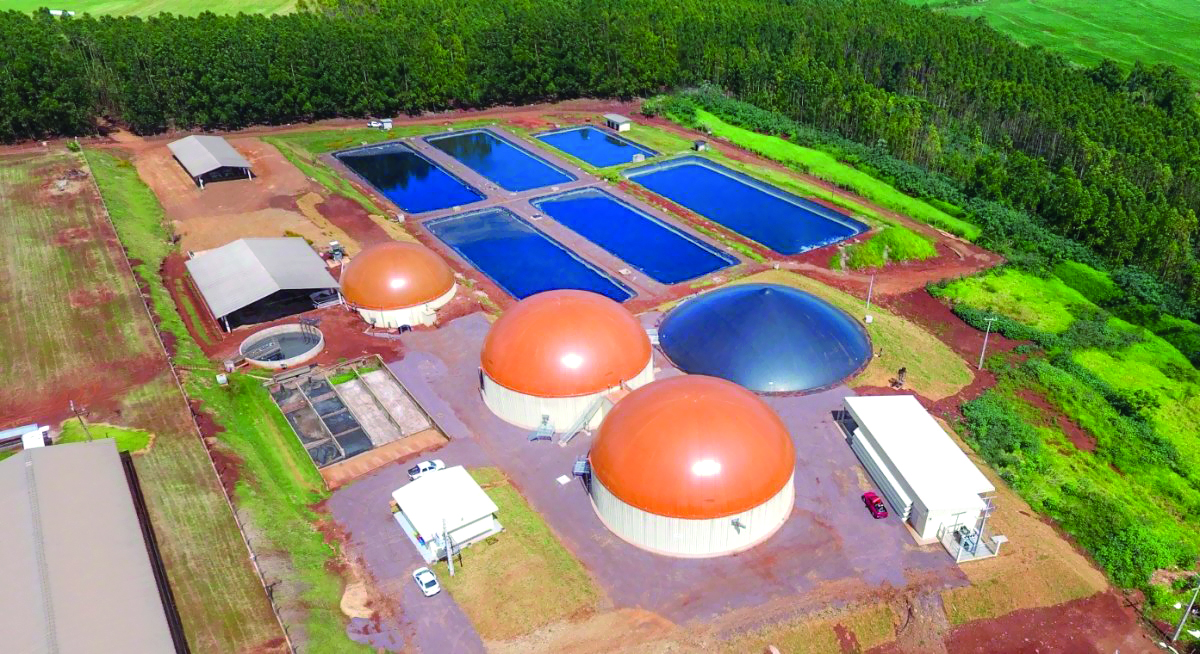 Biometano ganha espaço na política energética e amplia demanda por novos projetos no Brasil