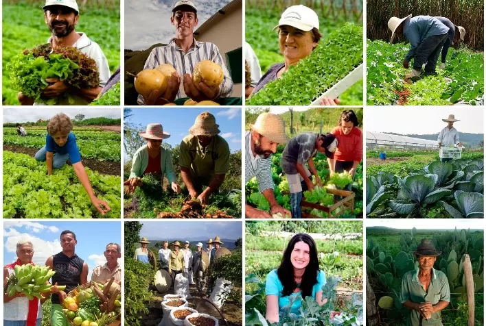 Plano Safra da Agricultura Familiar: crédito bilionário enfrenta desafios para chegar ao produtor rural