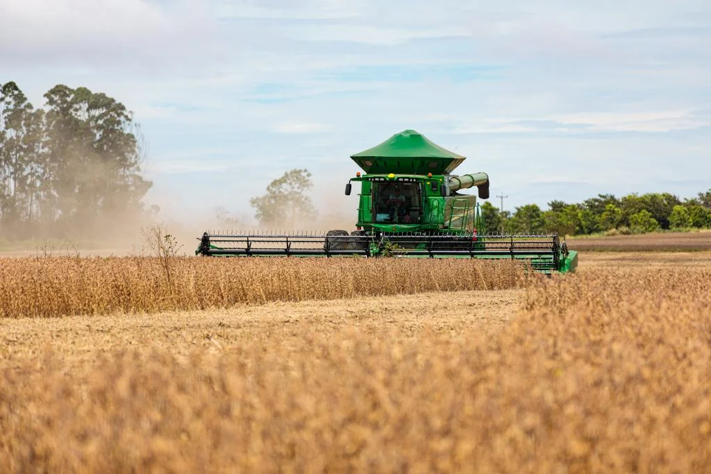 MT responde por 31,3% da produção nacional de grãos, diz IBGE