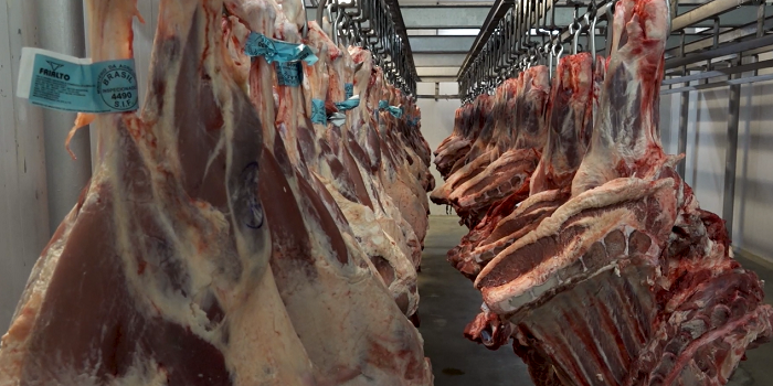Rastreabilidade da carne bovina será o novo diferencial competitivo da pecuária brasileira nos mercados globais