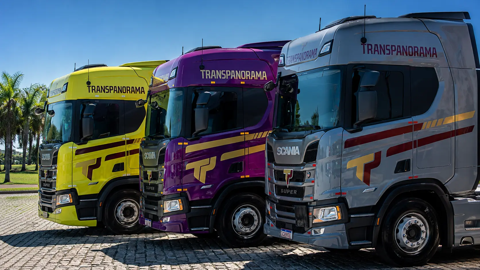 Transpanorama abre vagas para Motorista Carreteiro – Câmara Fria