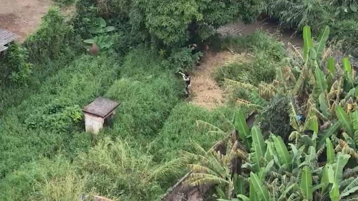 Vídeo: veja o momento que alvo da polícia tenta fugir durante operação contra o tráfico de drogas em Santos Dumont
