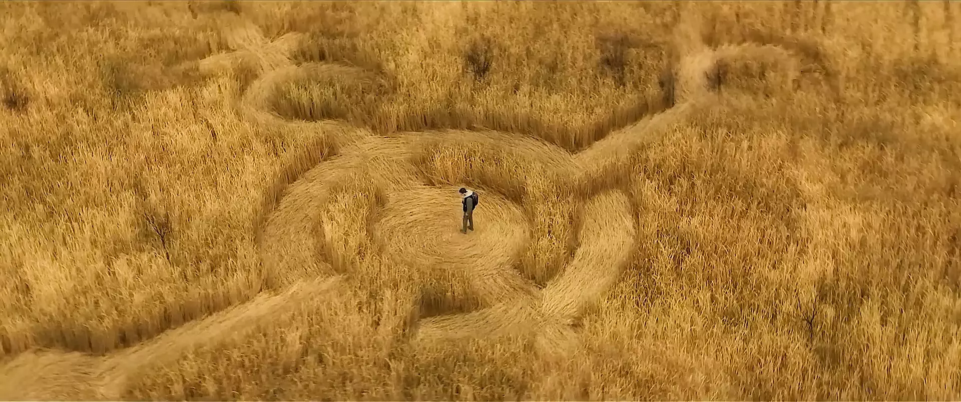 |Crítica| 'Dia D' (2026) - Dir. Steven Spielberg