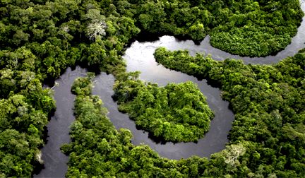 MEIO AMBIENTE ][ Amazônia tem segunda menor taxa de desmatamento para maio desde 2016