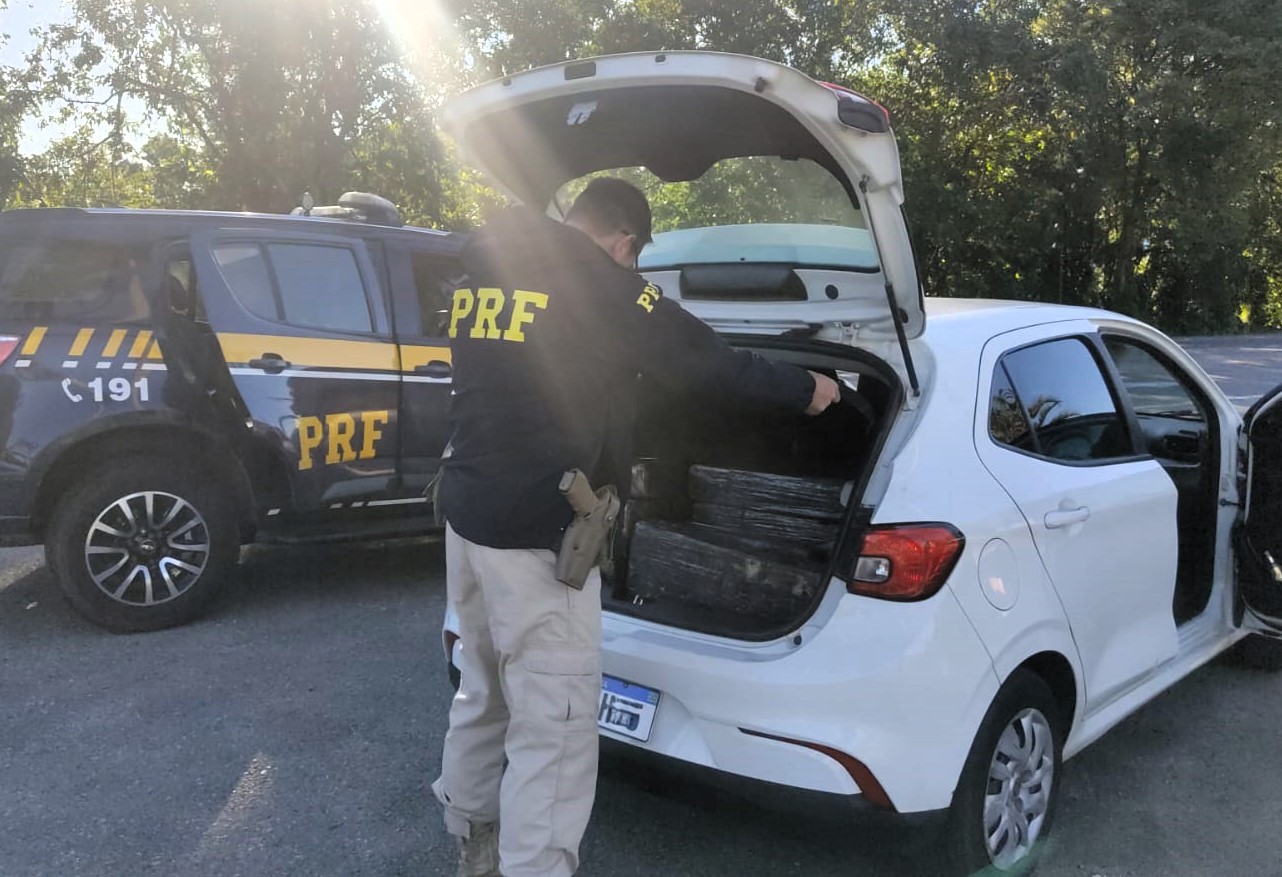 PRF intercepta mais de 400 quilos de maconha na BR-101 em Joinville