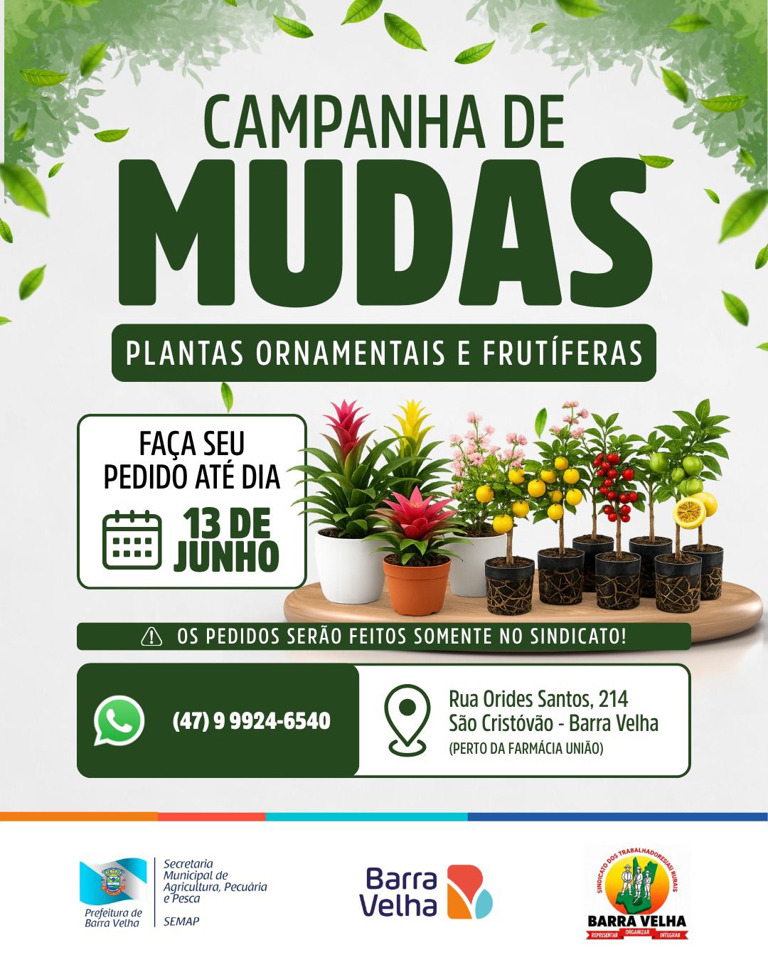 Campanha de Mudas - Plantas Ornamentais e Frutíferas