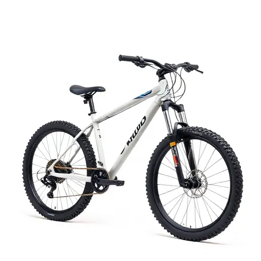 Bicicleta Mountain Bike