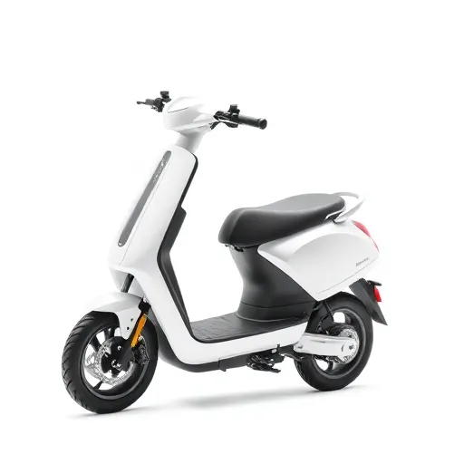 Scooter Elétrica