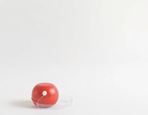 TrenaCam Banner