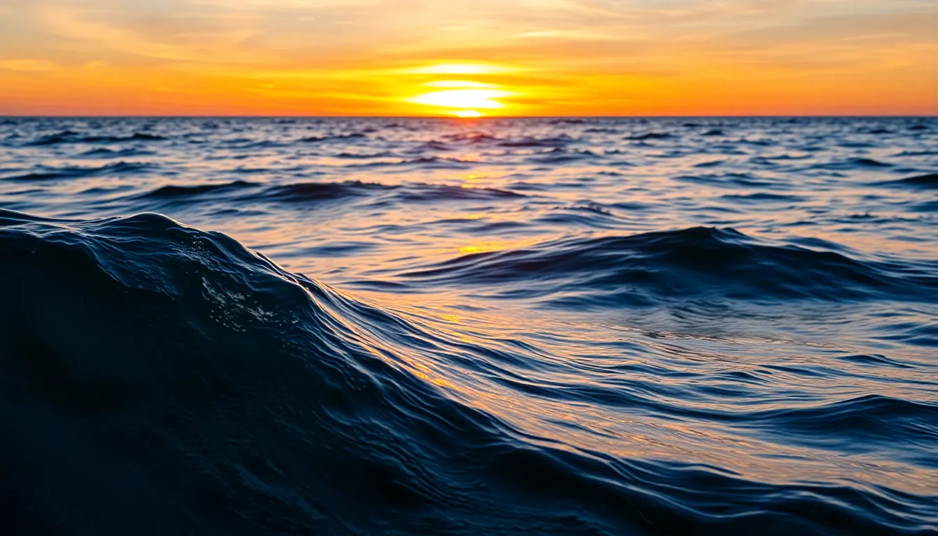 Peaceful ocean