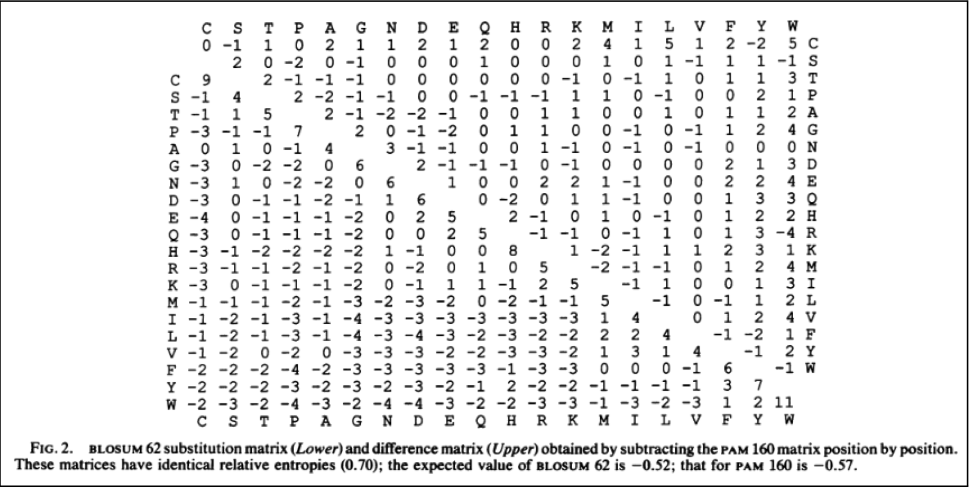 BLOSUM62 Amino Acid Substitution Table